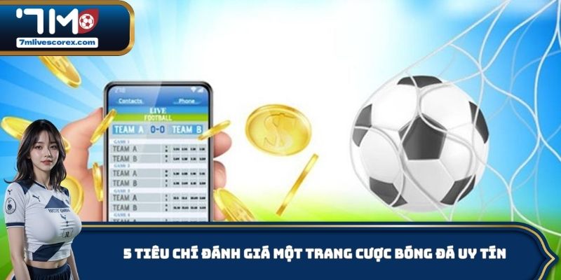 5 tiêu chí đánh giá một trang cược bóng đá uy tín