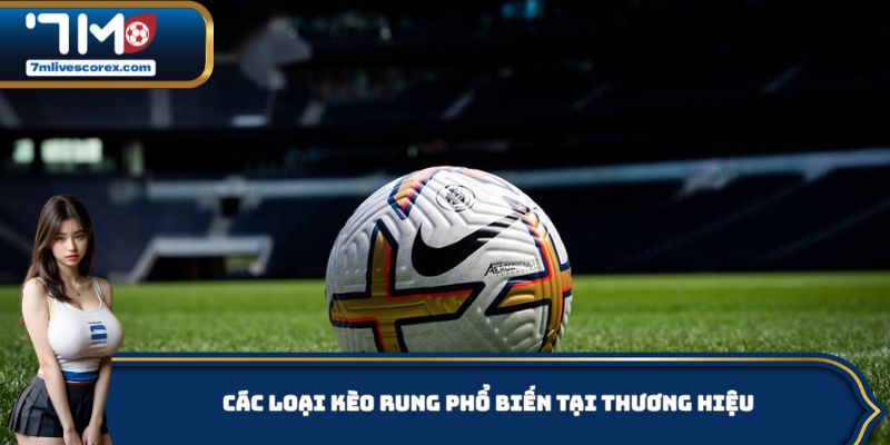 Các loại kèo rung phổ biến tại thương hiệu