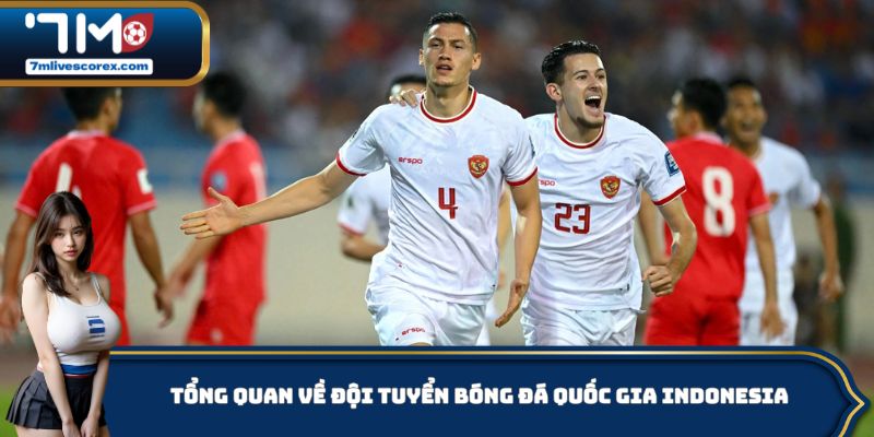 Tổng quan thông tin cơ bản về đội tuyển bóng đá quốc gia Indonesia