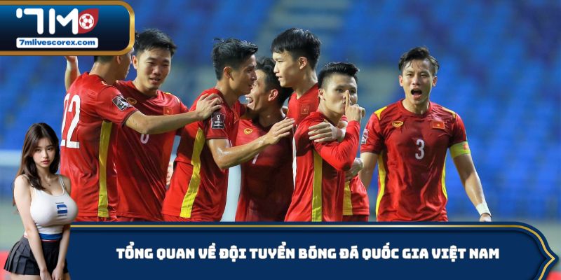 Một vài nét cơ bản về đội tuyển bóng đá quốc gia Việt Nam