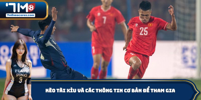 Kèo tài xỉu và các thông tin cơ bản để tham gia