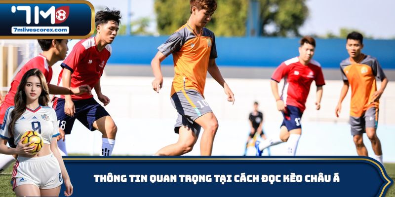 Thông tin quan trọng tại cách đọc kèo Châu Á