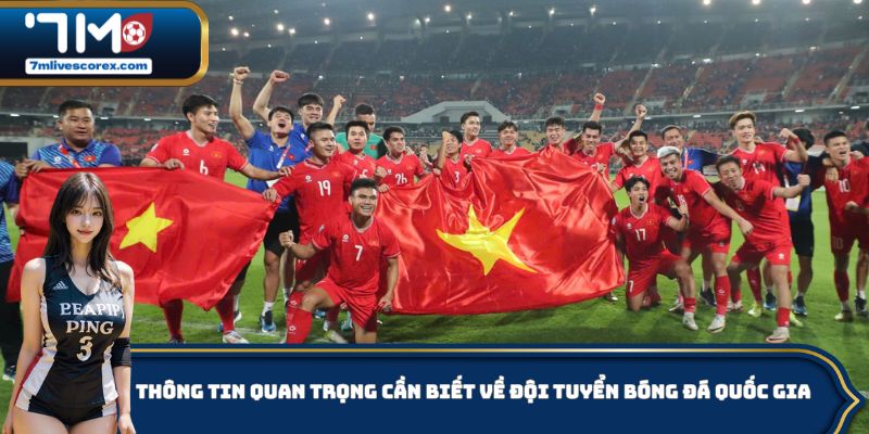 Thông tin quan trọng cần biết về đội tuyển bóng đá quốc gia