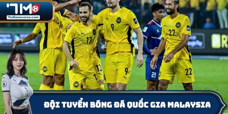 Đội Tuyển Bóng Đá Quốc Gia Malaysia