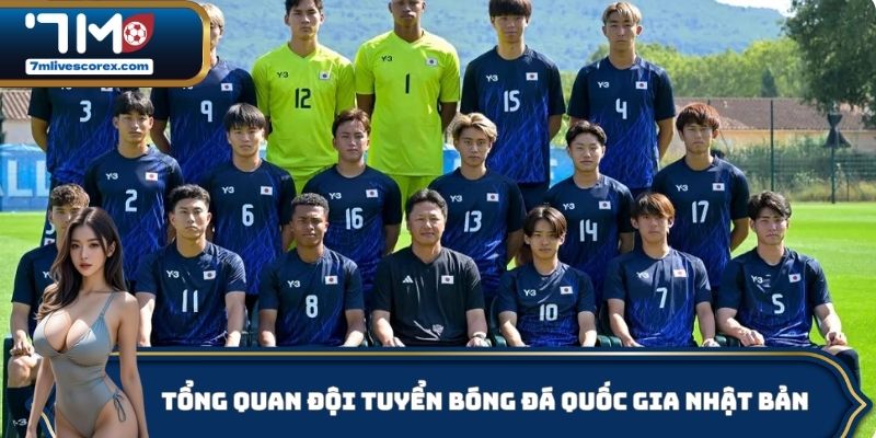 Tổng quan đội tuyển bóng đá quốc gia Nhật Bản